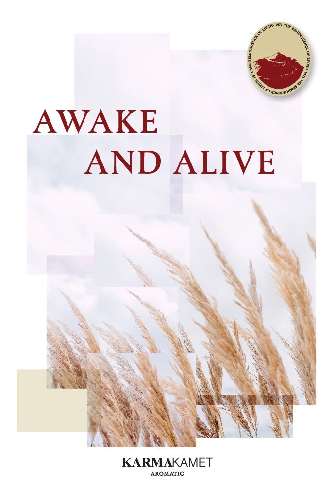 https://karmakametstudio.com/wp-content/uploads/2020/05/COVER-MAIN-AWAKE-AND-ALIVE.jpg.jpg